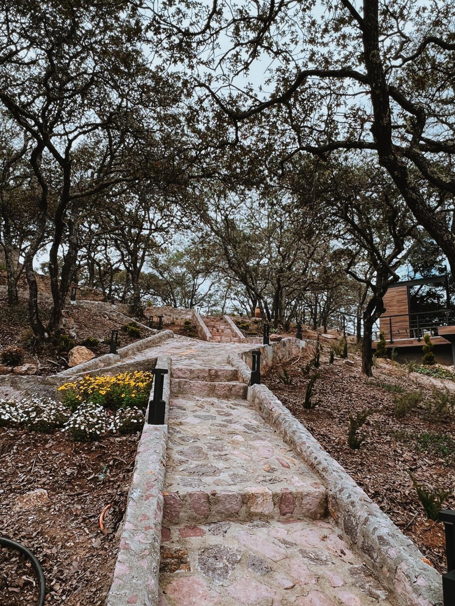 La Foret Cabanas Boutique León Kültér fotó